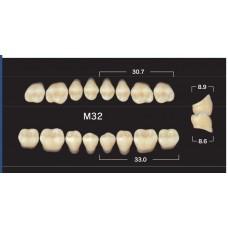 Зубы акриловые двухслойные GLORIA Naperce боковые верхние, фасон М32