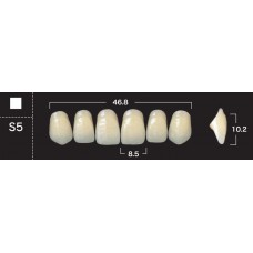 Зубы акриловые двухслойные GLORIA New Ace, фронтальные верхние, фасон S5