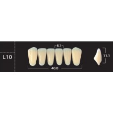 Зубы акриловые двухслойные GLORIA New Ace, фронтальные нижние, фасон L10