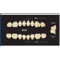 Зубы акриловые двухслойные GLORIA Naperce боковые верхние, фасон М30