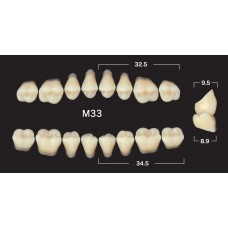 Зубы акриловые двухслойные GLORIA Naperce боковые верхние, фасон М33