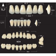 Зубы акриловые двухслойные GLORIA New Ace & Naperce, полный гарнитур TL7 M34