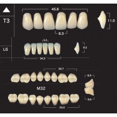 Зубы акриловые двухслойные GLORIA New Ace & Naperce, полный гарнитур T3 M32