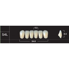 Зубы акриловые двухслойные GLORIA New Ace, фронтальные нижние, фасон S4L
