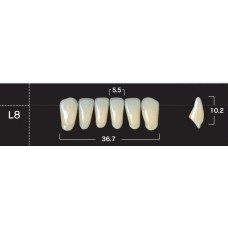 Зубы акриловые двухслойные GLORIA New Ace, фронтальные нижние, фасон L8