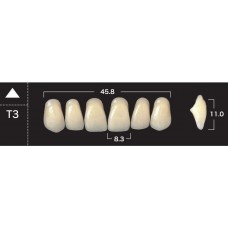 Зубы акриловые двухслойные GLORIA New Ace, фронтальные верхние, фасон Т3