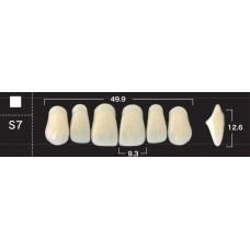 Зубы акриловые двухслойные GLORIA New Ace, фронтальные верхние, фасон S7