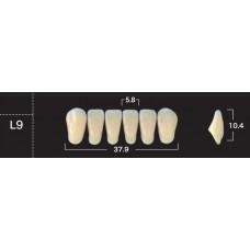 Зубы акриловые двухслойные GLORIA New Ace, фронтальные нижние, фасон L9