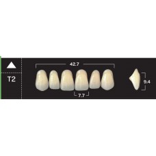 Зубы акриловые двухслойные GLORIA New Ace, фронтальные верхние, фасон Т2