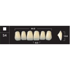Зубы акриловые двухслойные GLORIA New Ace, фронтальные верхние, фасон S4