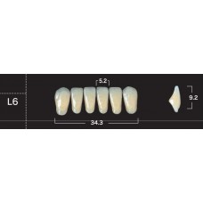 Зубы акриловые двухслойные GLORIA New Ace, фронтальные нижние, фасон L6
