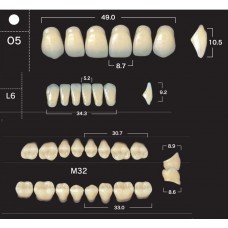 Зубы акриловые двухслойные GLORIA New Ace & Naperce, полный гарнитур O5 M32