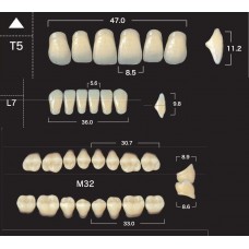 Зубы акриловые двухслойные GLORIA New Ace & Naperce, полный гарнитур T5 M32