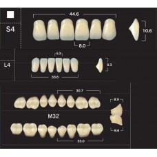 Зубы акриловые двухслойные GLORIA New Ace & Naperce, полный гарнитур S4 M32