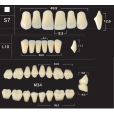 Зубы акриловые двухслойные GLORIA New Ace & Naperce, полный гарнитур S7 M34