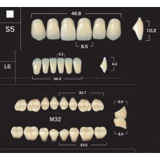 Зубы акриловые двухслойные GLORIA New Ace & Naperce, полный гарнитур S5 M32