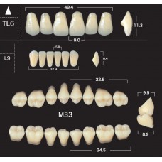 Зубы акриловые двухслойные GLORIA New Ace & Naperce, полный гарнитур TL6 M33