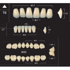 Зубы акриловые двухслойные GLORIA New Ace & Naperce, полный гарнитур T6 M32