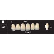 Зубы акриловые двухслойные GLORIA New Ace, фронтальные верхние, фасон S2