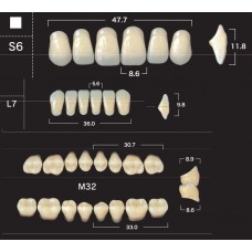 Зубы акриловые двухслойные GLORIA New Ace & Naperce, полный гарнитур S6 M32
