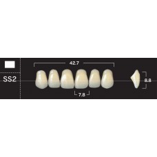 Зубы акриловые двухслойные GLORIA New Ace, фронтальные верхние, фасон SS2