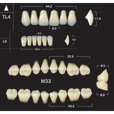 Зубы акриловые двухслойные GLORIA New Ace & Naperce, полный гарнитур TL4 M33