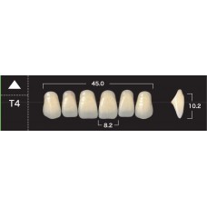 Зубы акриловые двухслойные GLORIA New Ace, фронтальные верхние, фасон Т4