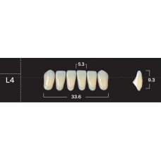 Зубы акриловые двухслойные GLORIA New Ace, фронтальные нижние, фасон L4