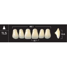 Зубы акриловые двухслойные GLORIA New Ace, фронтальные верхние, фасон ТL6