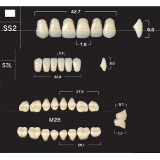 Зубы акриловые двухслойные GLORIA New Ace & Naperce, полный гарнитур SS2 M28