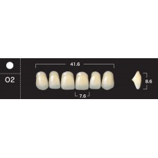 Зубы акриловые двухслойные GLORIA New Ace, фронтальные верхние, фасон O2