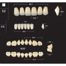 Зубы акриловые двухслойные GLORIA New Ace & Naperce, полный гарнитур S2 M30