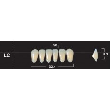 Зубы акриловые двухслойные GLORIA New Ace, фронтальные нижние, фасон L2