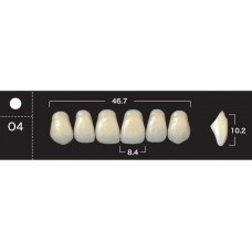 Зубы акриловые двухслойные GLORIA New Ace, фронтальные верхние, фасон O4