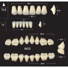 Зубы акриловые двухслойные GLORIA New Ace & Naperce, полный гарнитур TL5 M33